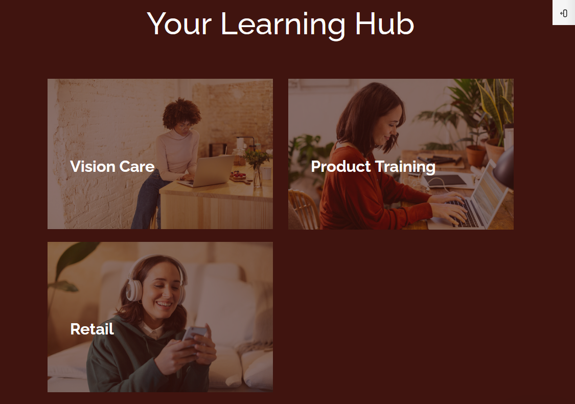 Vision Academy — Custom Moodle Theme — screenshot 4