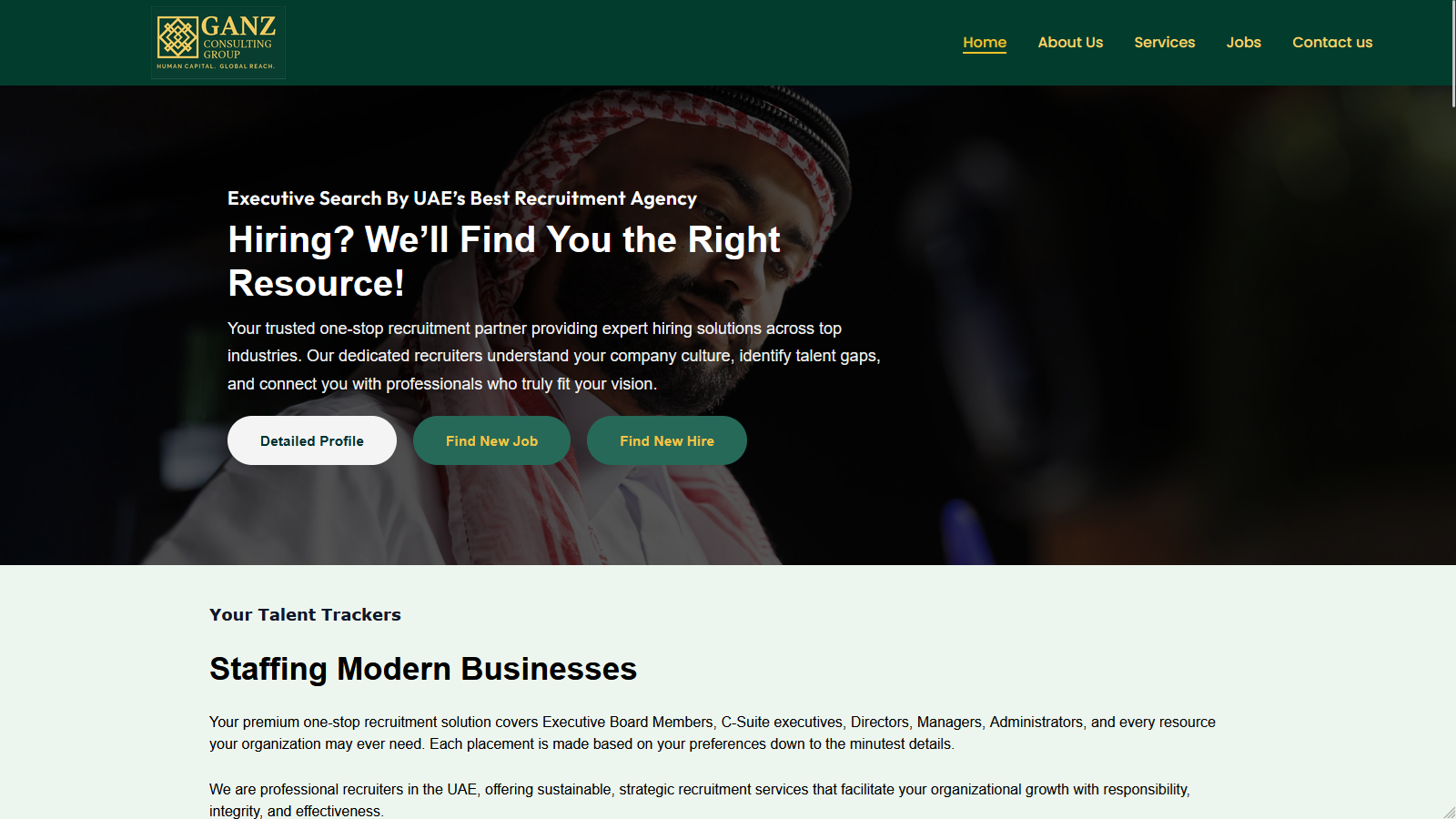 Ganz Consulting — Custom WordPress Theme — screenshot 1