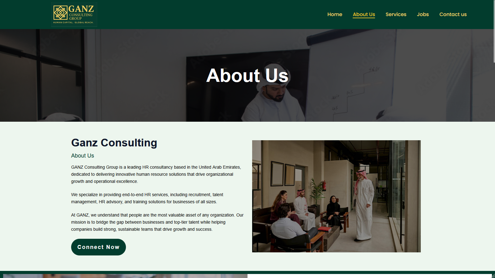 Ganz Consulting — Custom WordPress Theme — screenshot 2